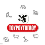 Δείκτης τοποθέτησης