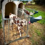 Μπιμπερό 4 λίτρων MILK BAR με βάση στήριξης ( Σετ 5 τεμαχίων) - Image 6