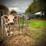 Μπιμπερό 4 λίτρων MILK BAR με βάση στήριξης ( Σετ 5 τεμαχίων) - Image 7