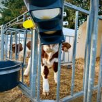Μπιμπερό 4 λίτρων MILK BAR με βάση στήριξης ( Σετ 5 τεμαχίων) - Image 8