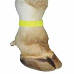 Ταινία σήμανσης ποδιού με velcro - Image 4