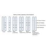 Τεστ Αντιβίωσης Quantum BT-Cef - Image 4